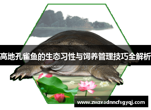 高地孔雀鱼的生态习性与饲养管理技巧全解析