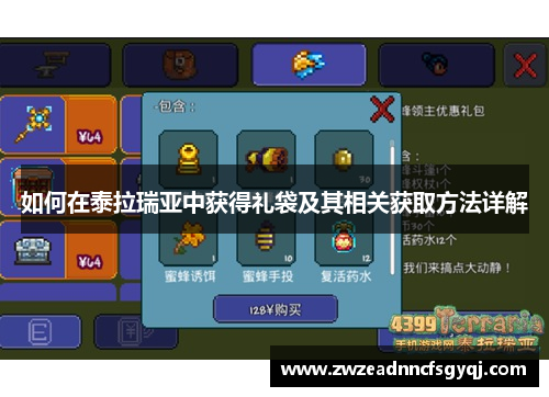 如何在泰拉瑞亚中获得礼袋及其相关获取方法详解