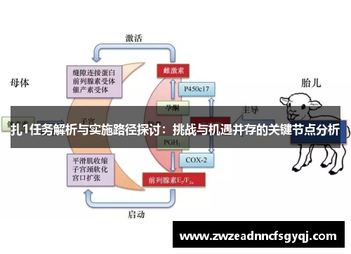 扎1任务解析与实施路径探讨：挑战与机遇并存的关键节点分析
